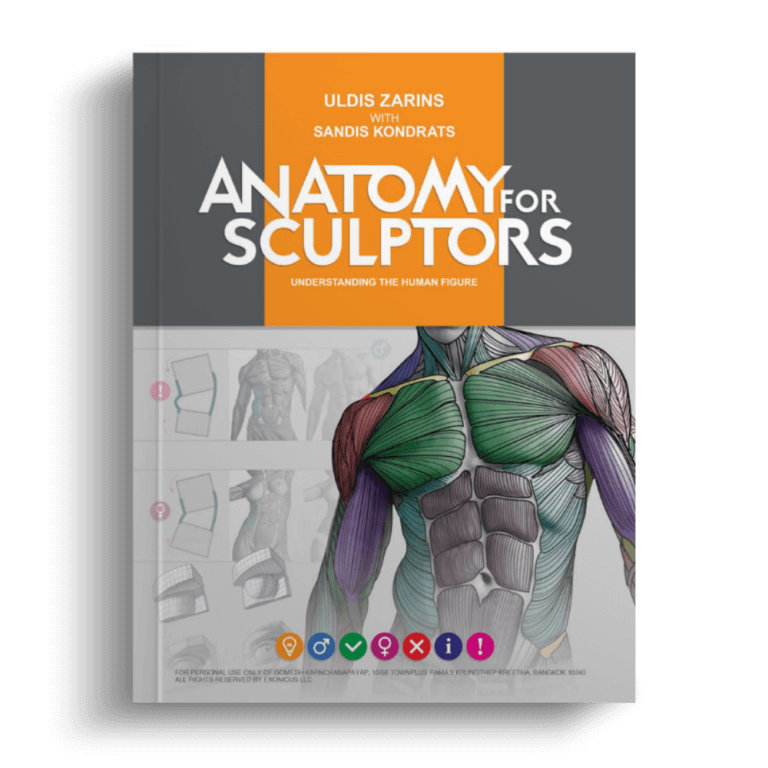 More About Anatomy 4 Sculptors | By Anatomy Next