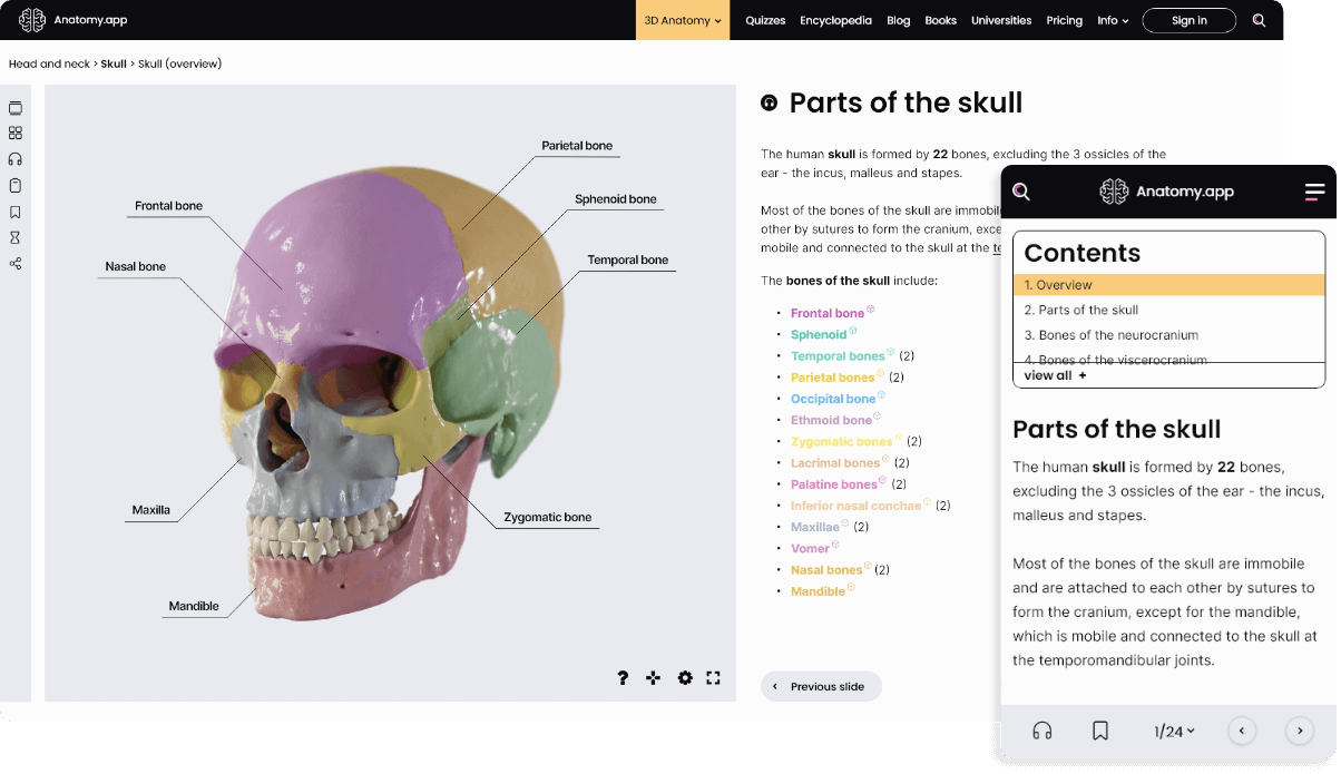 anatomy.app-articles-preview